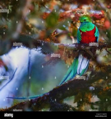  ¡Quetzal! Un ave con plumas iridiscentes que evoca la belleza de un sueño tropical!