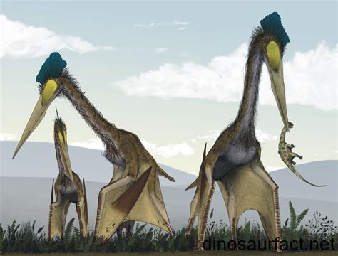  Quetzalcoatlus! Un Gigante De Las Eras Pasadas Que Combinaba La Velocidad De Un Águila Con La Fuerza De Un Tiranosaurio